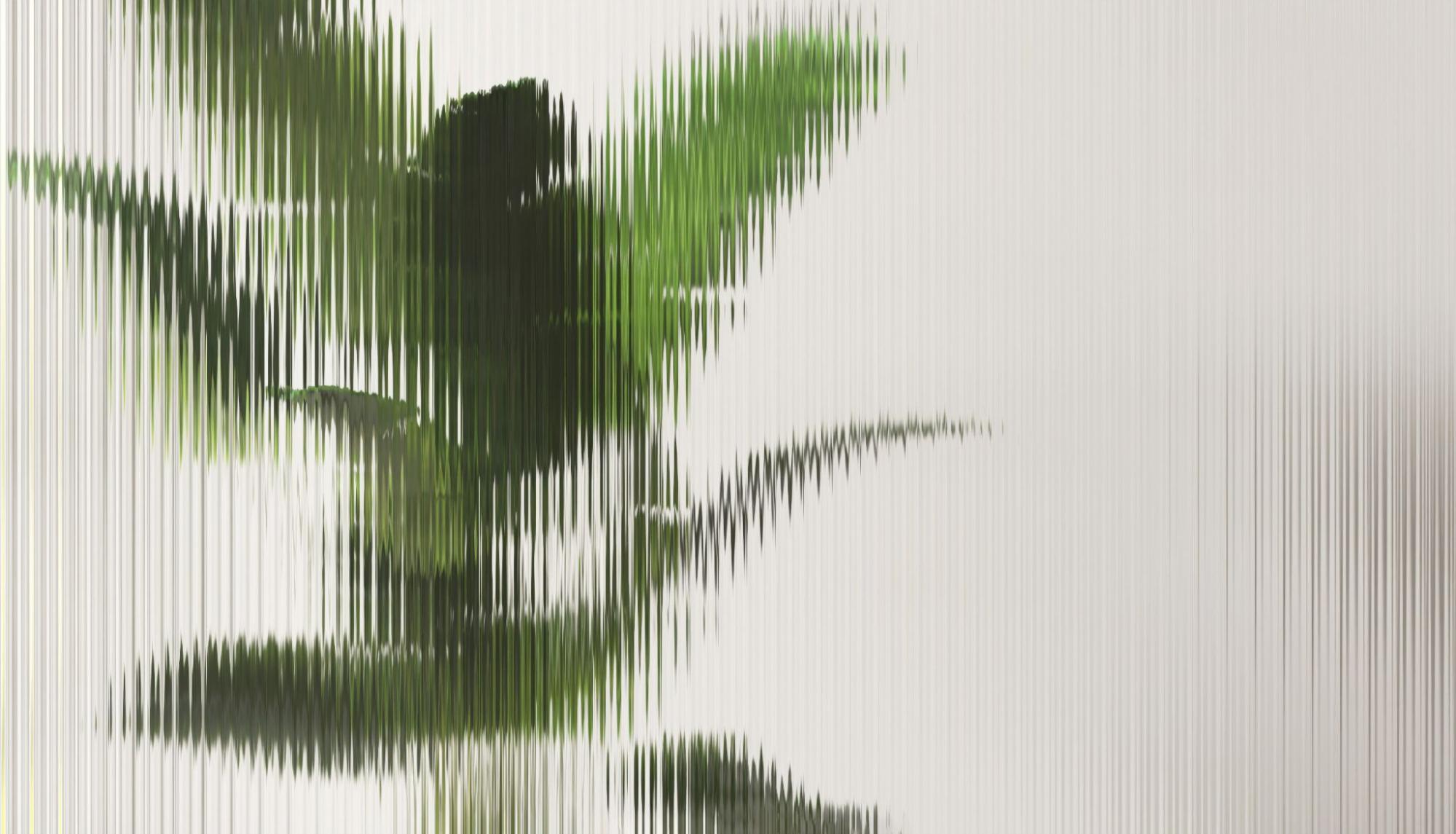 large plant behind abstract glass texture